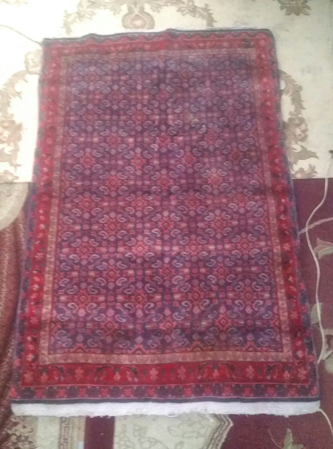 قالیچه دستباف ساروق اراک نقش ماهی با قدمت ۷۰ سال|فرش|شهریار, شهریار|دیوار