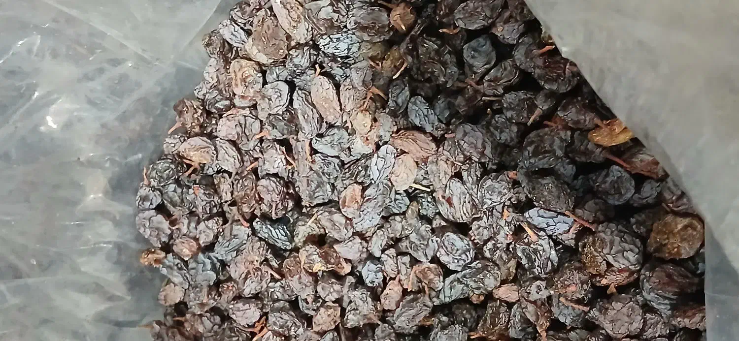 کشمش آفتابی فخری|خوردنی و آشامیدنی|تاکستان, |دیوار