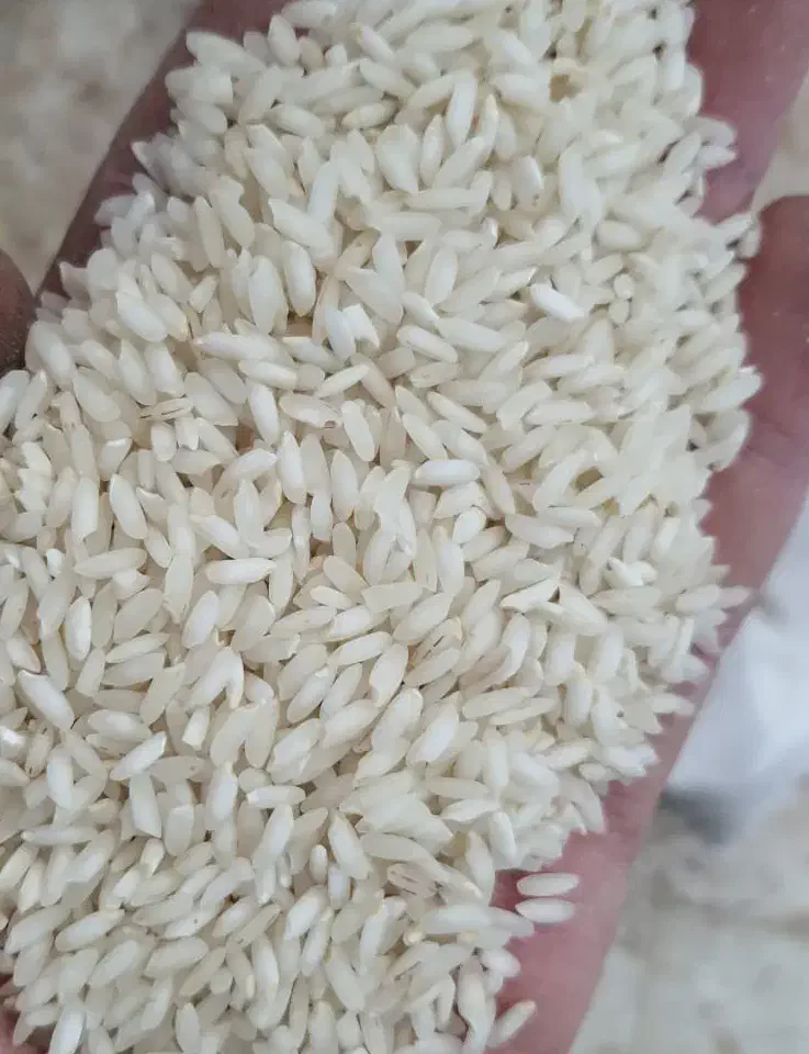 برنج عنبربو شوشتر|خوردنی و آشامیدنی|شوشتر, |دیوار