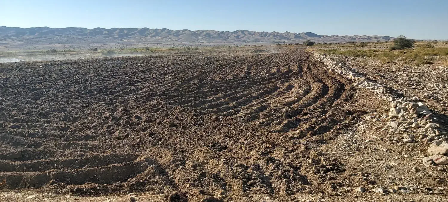 .زمین بر اصلی جاده ریکا|فروش دفتر صنعتی، کشاورزی، تجاری|صالح آباد (ایلام), |دیوار