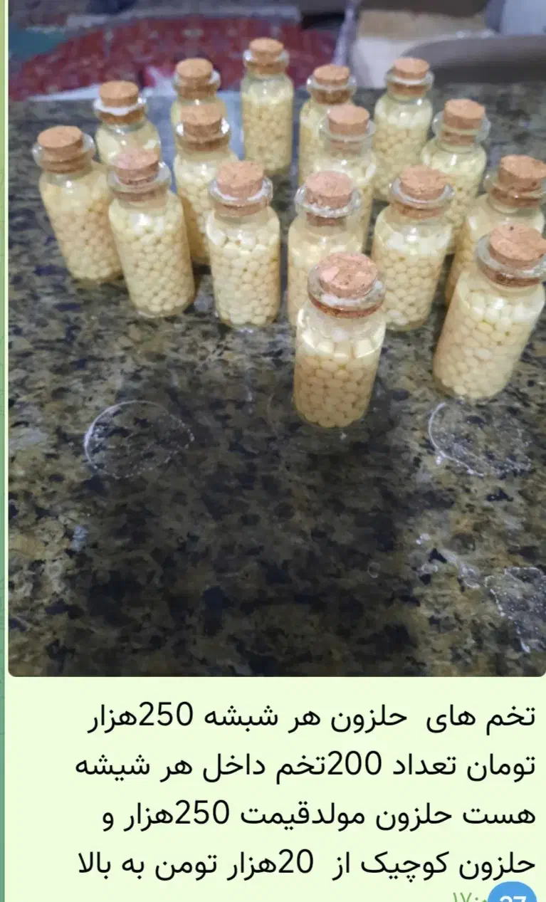 حلزون تراپی برای پوست|خزنده|قم, قلعه کامکار|دیوار