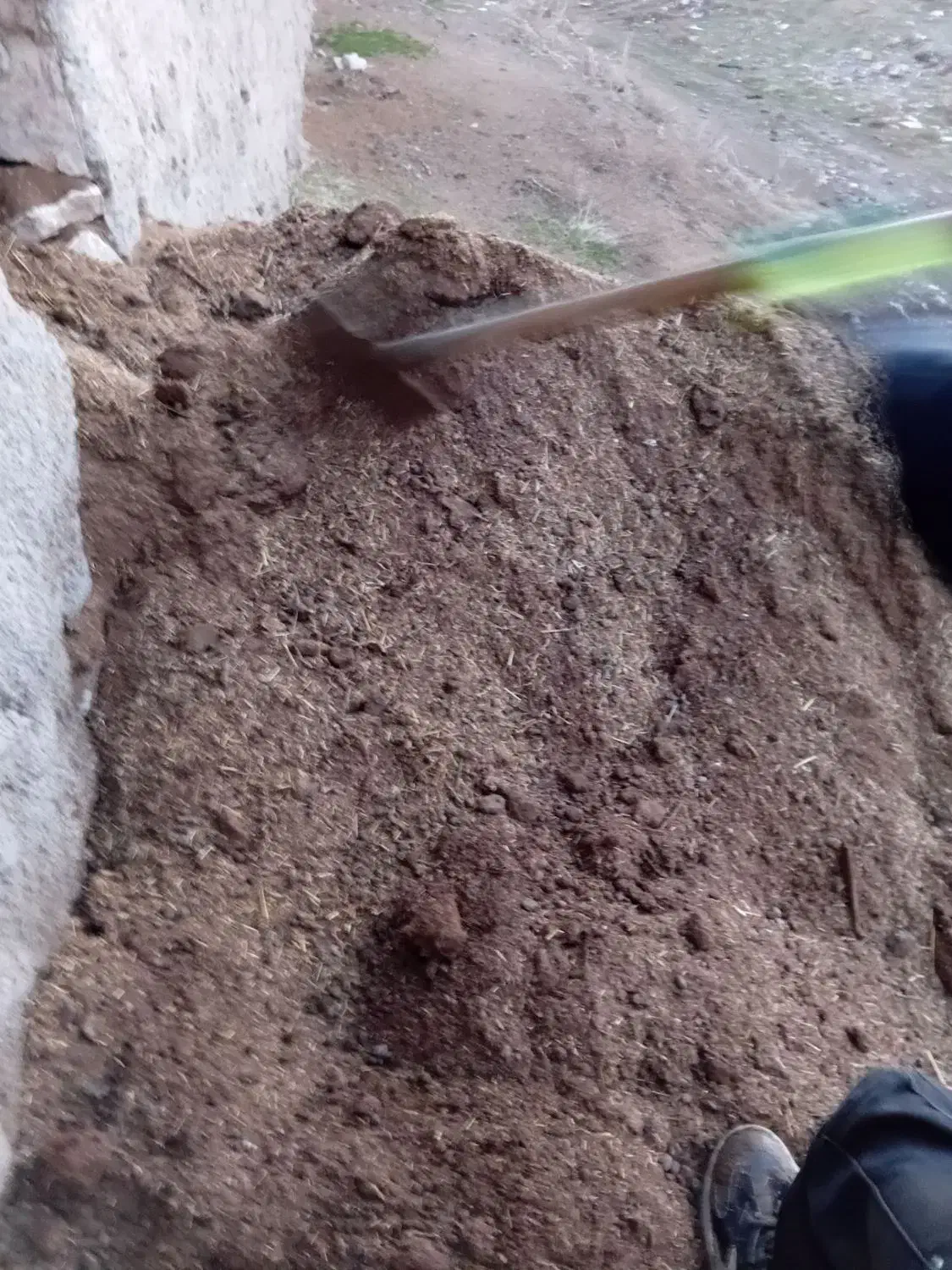 کود گوسفندی|خدمات باغبانی و درختکاری|ملک‌آباد, |دیوار