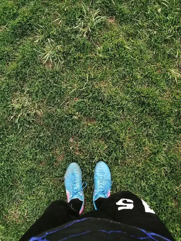 نیازمند بازیکن سالن|فعالیت داوطلبانه|فلاورجان, |دیوار