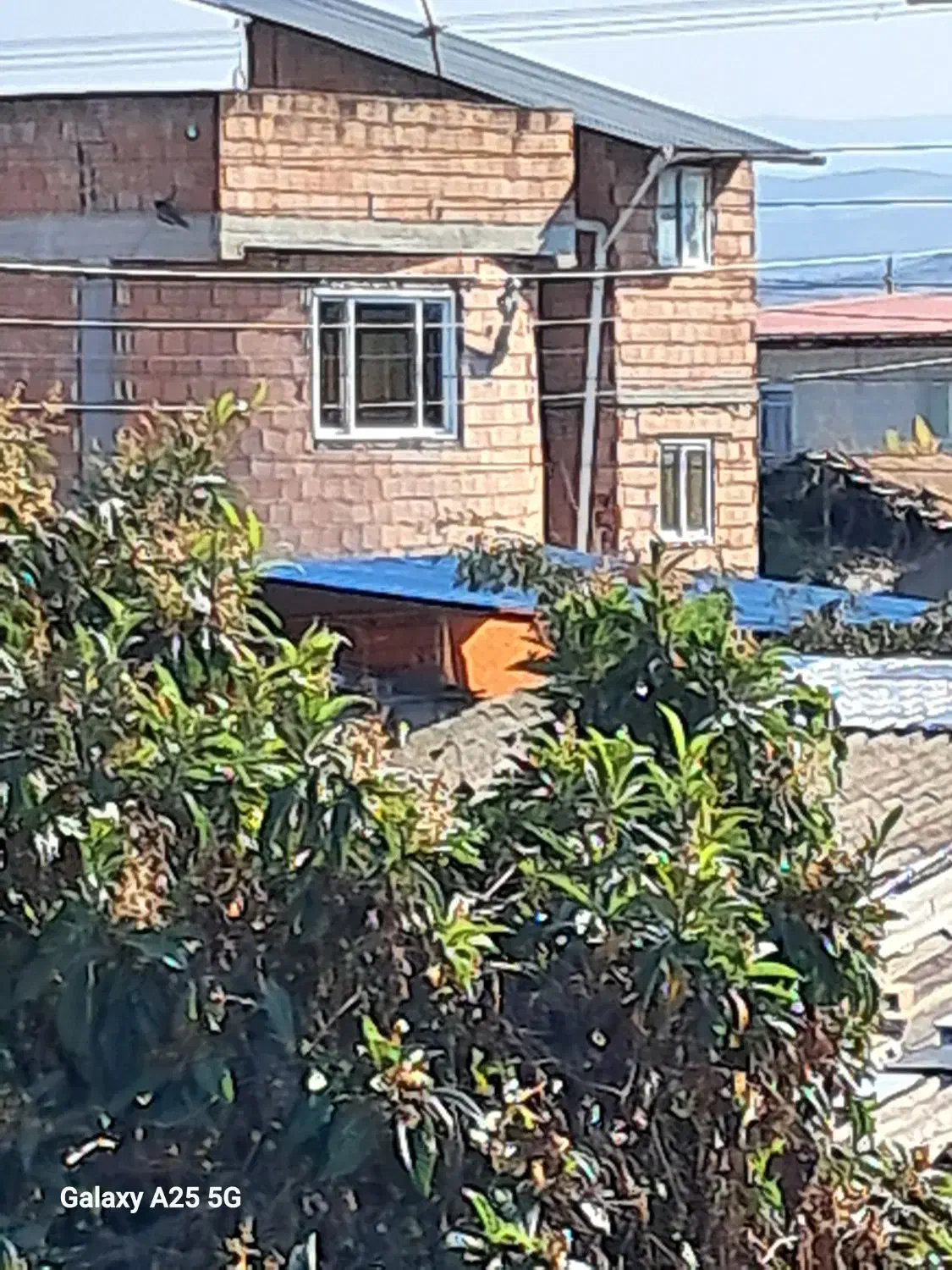 تیرچه و یونولیت|مصالح و تجهیزات ساختمان|گرگان, |دیوار