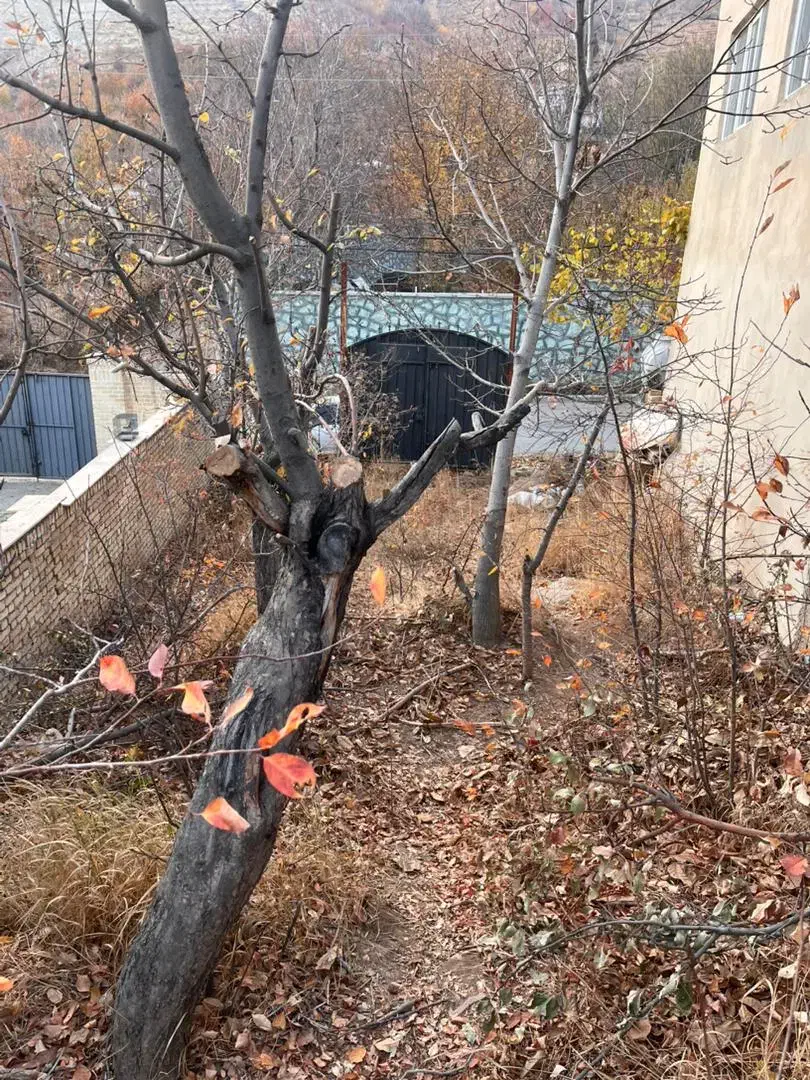 ویلا نیمه کاره روستای هرین(جاده چالوس)|فروش خانه و ویلا|آسارا, |دیوار