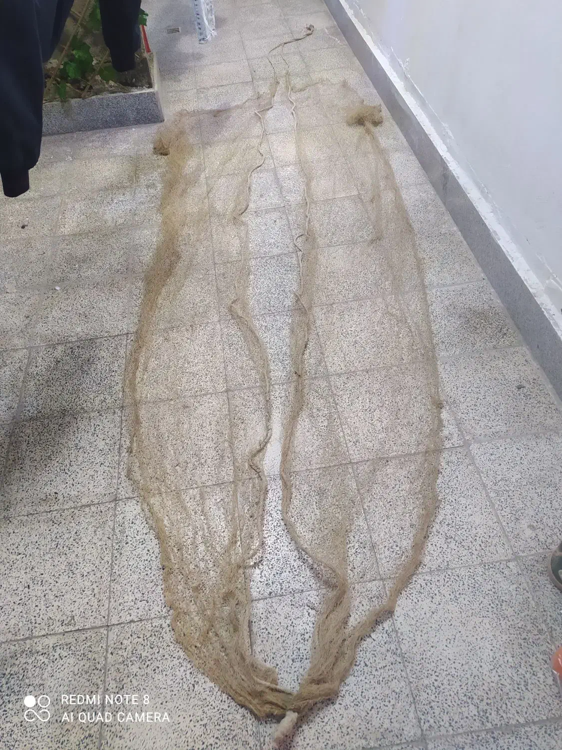 سره|ماهیگیری|همدان, |دیوار