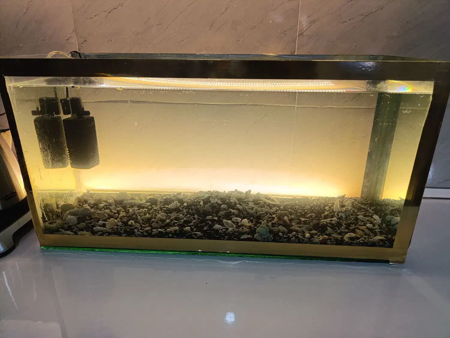 اکواریوم|ماهی|بندر دیر, |دیوار