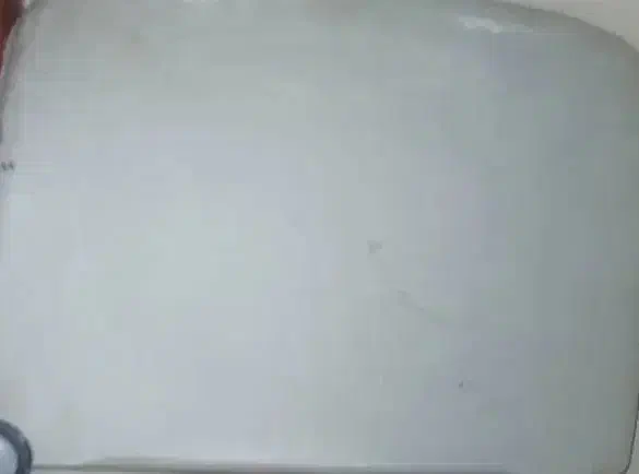 چمدان|کیف، کفش، کمربند|ایرانشهر, |دیوار