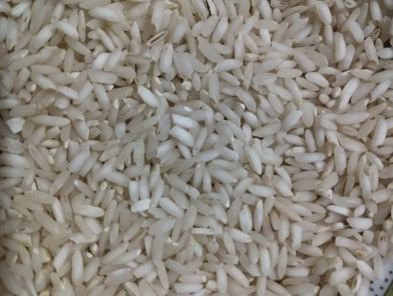 برنج و نیم دانه|خوردنی و آشامیدنی|شوشتر, |دیوار