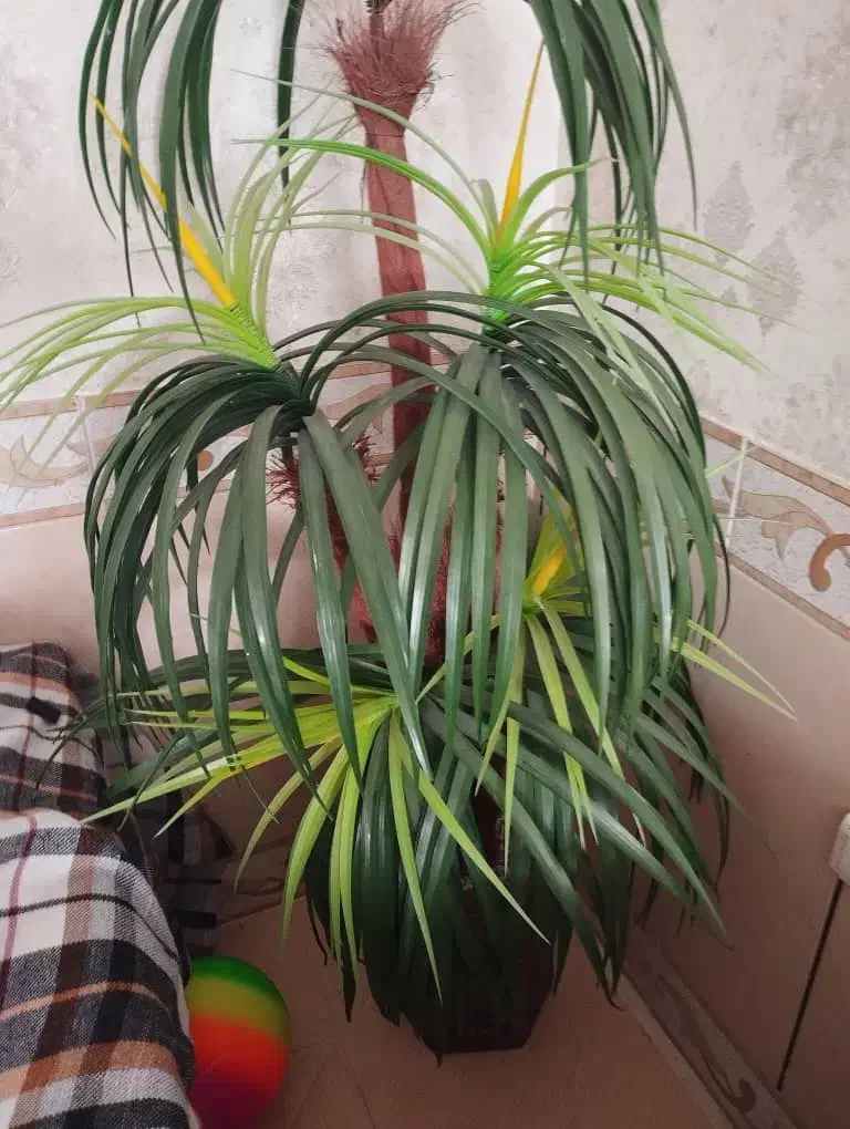 فروش نخل مصنوعی|گل مصنوعی|شهرکرد, |دیوار