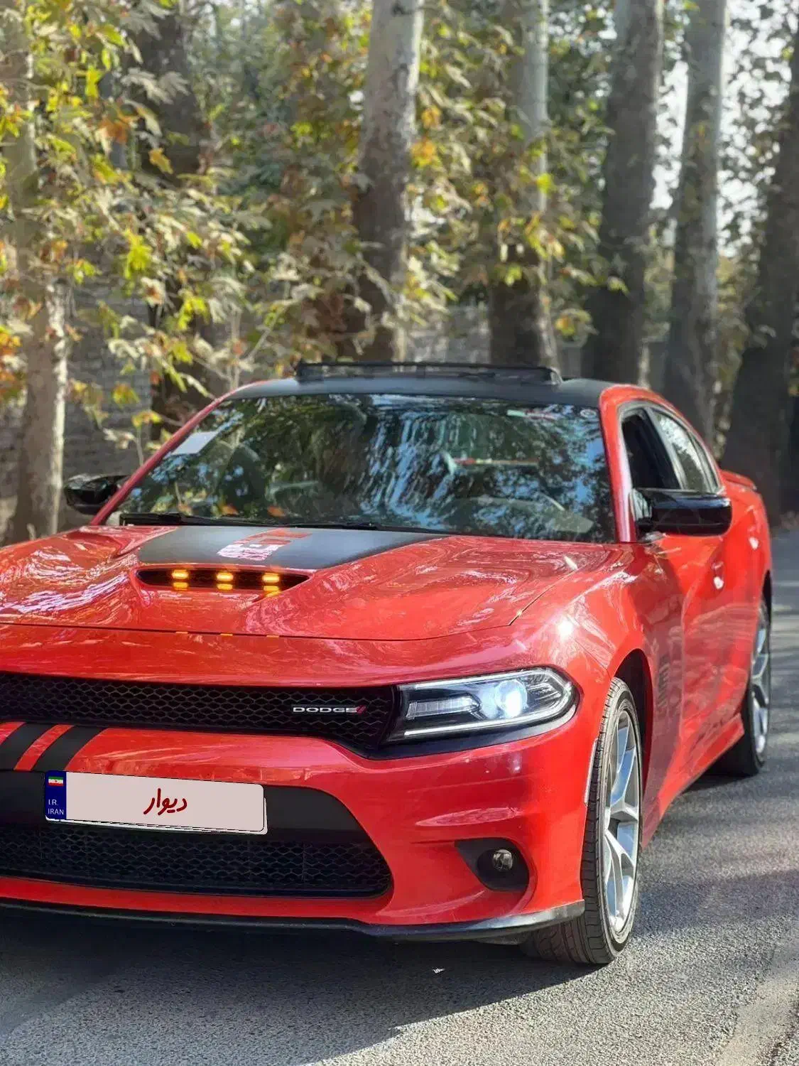 اجاره ماشین دوج برای عروسی|خودرو اجارهای|شهریار, شهریار|دیوار