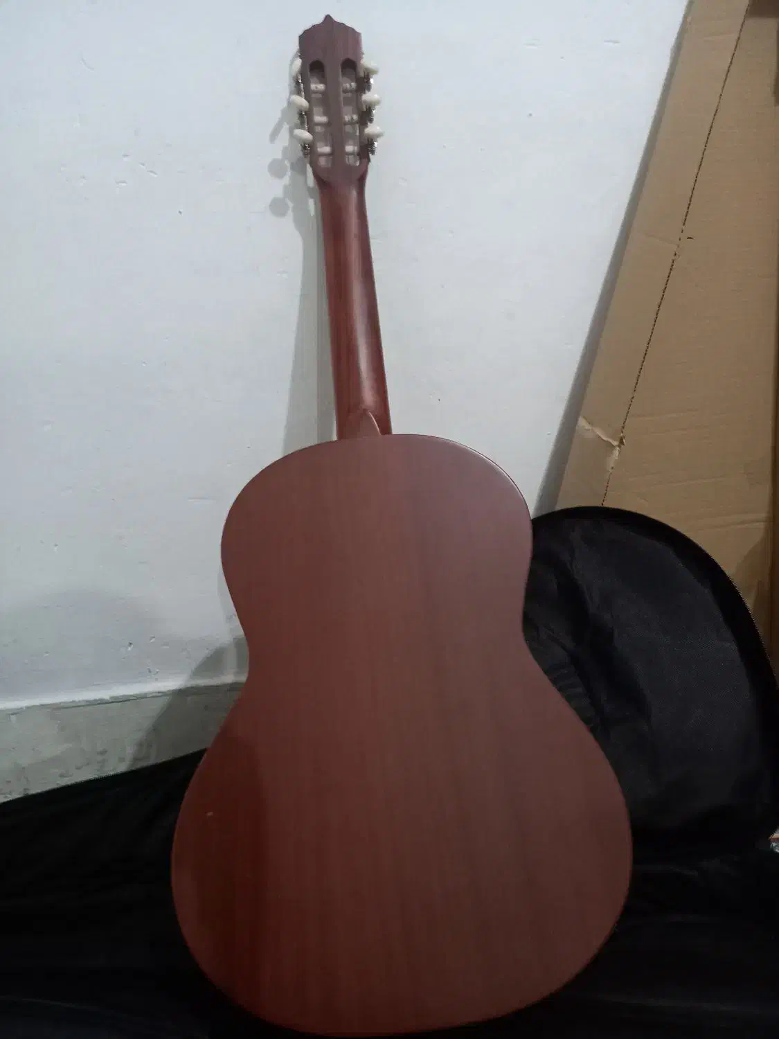 گیتار m5|گیتار، بیس، امپلیفایر|اندیمشک, |دیوار