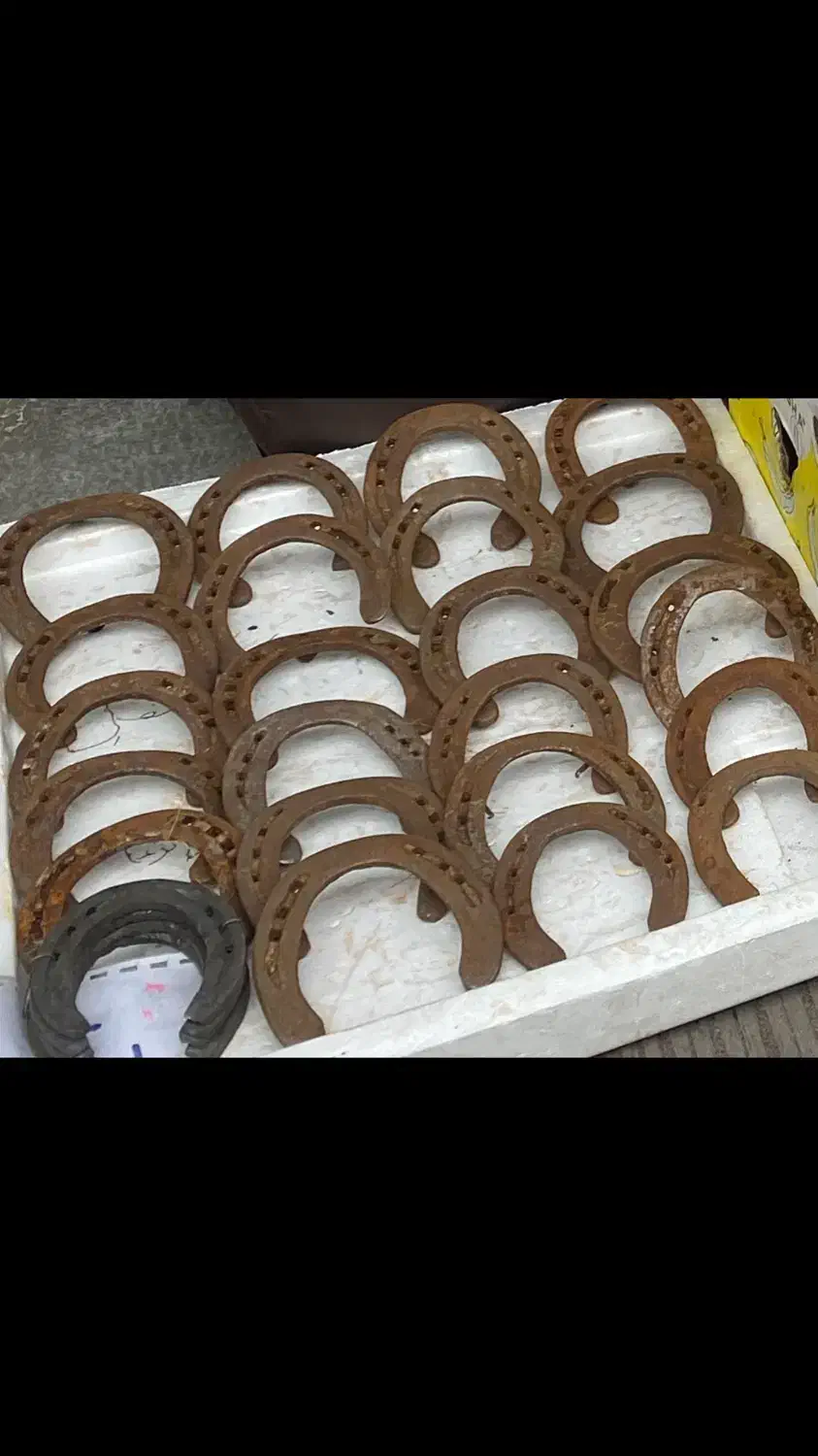 نعل اسب کهنه کارکرده|اسب و تجهیزات اسبسواری|تهران, تجریش|دیوار