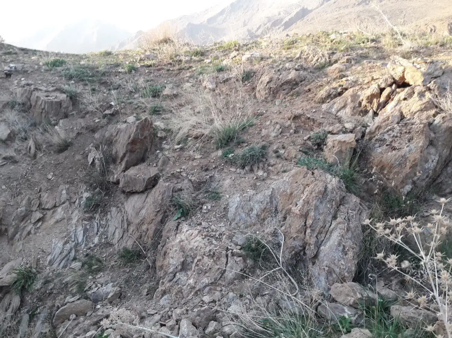 معدن سرب|فروش دفتر صنعتی، کشاورزی، تجاری|تهران, گلستان (شهرک راه آهن)|دیوار