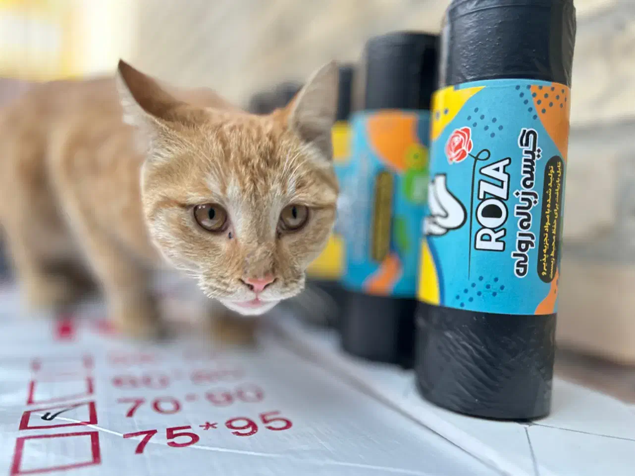 کیسه زباله رولی|مواد شوینده و دستمال کاغذی|کهریزک, |دیوار