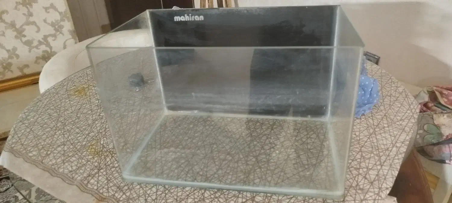 اکواریوم برند ماهیران|ماهی|مشهد, رستگار|دیوار