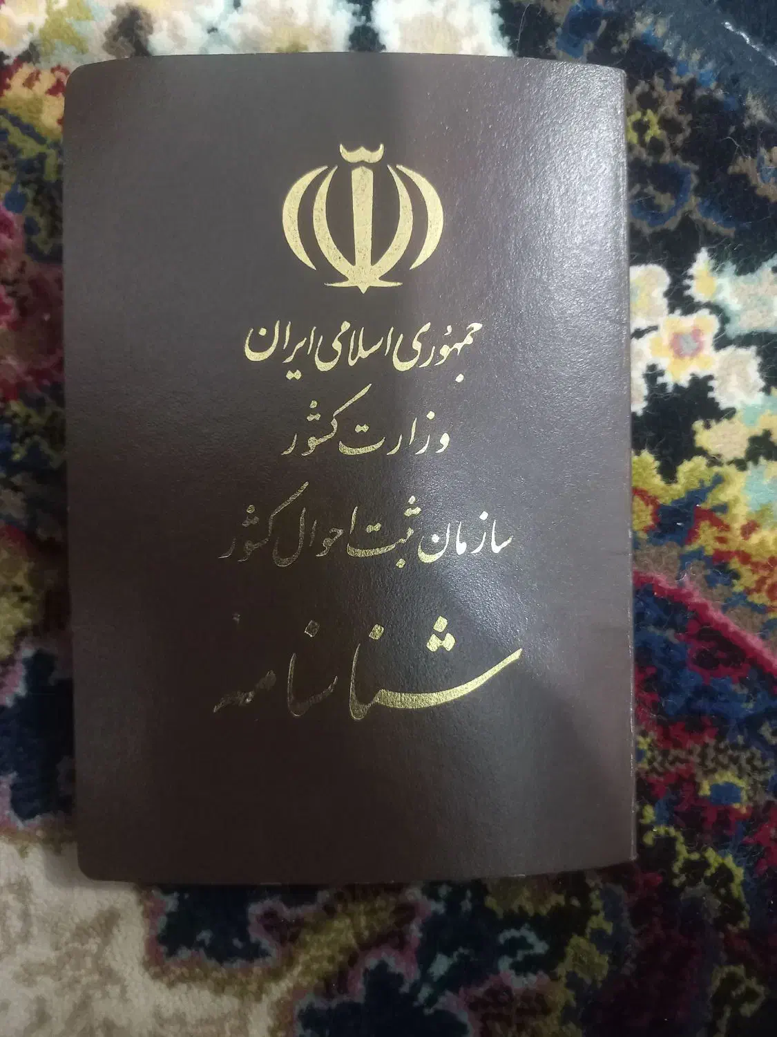 شناسنامه گم شده|اشیا|بهمن صغاد, |دیوار