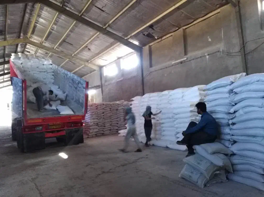 خریدار کود سفید،برنج آلو،گردو برگ قیصی حبوبات|خدمات باغبانی و درختکاری|کرمانشاه, |دیوار