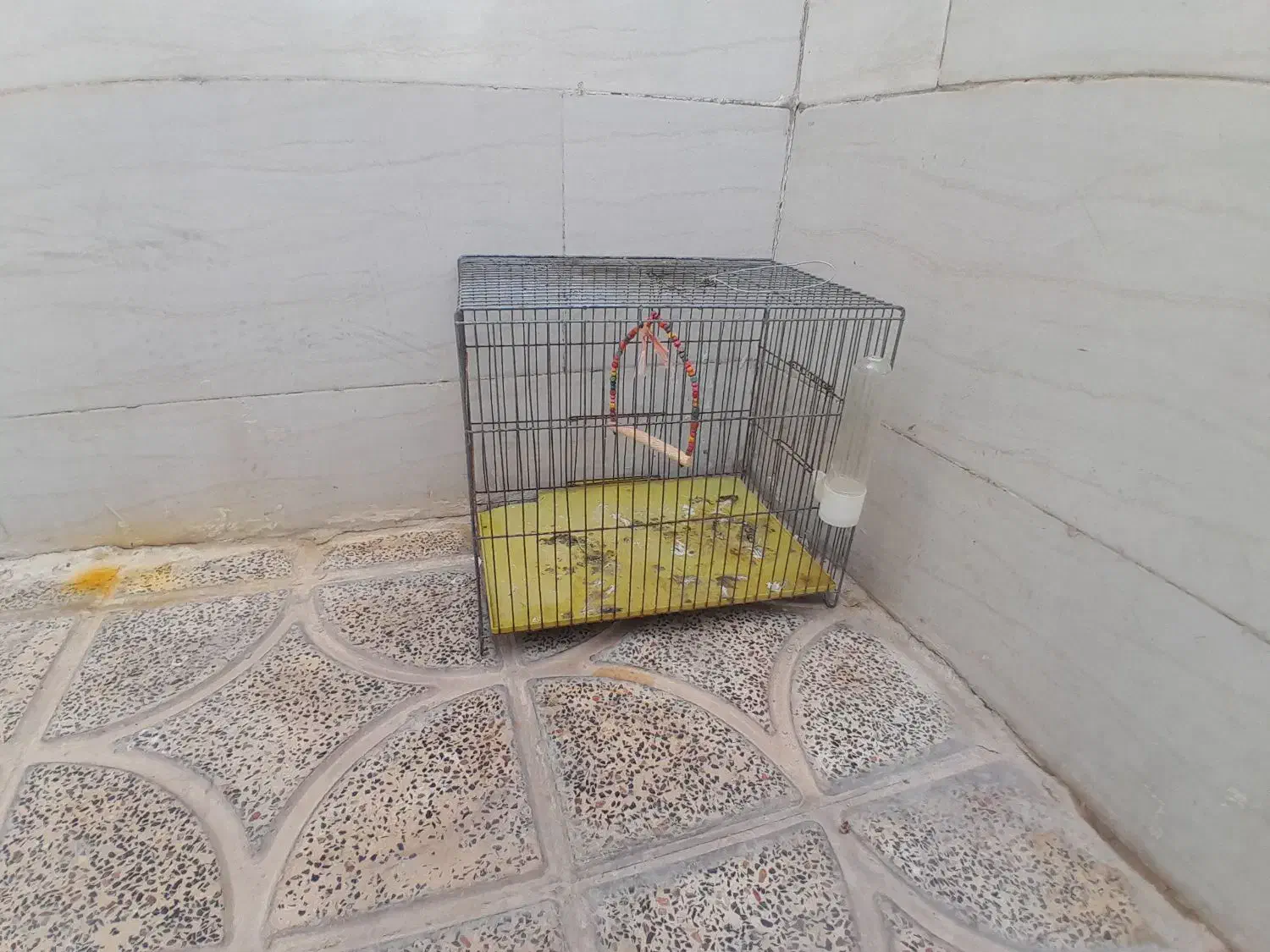 قفس|لوازم جانبی حیوانات|رومشکان, |دیوار