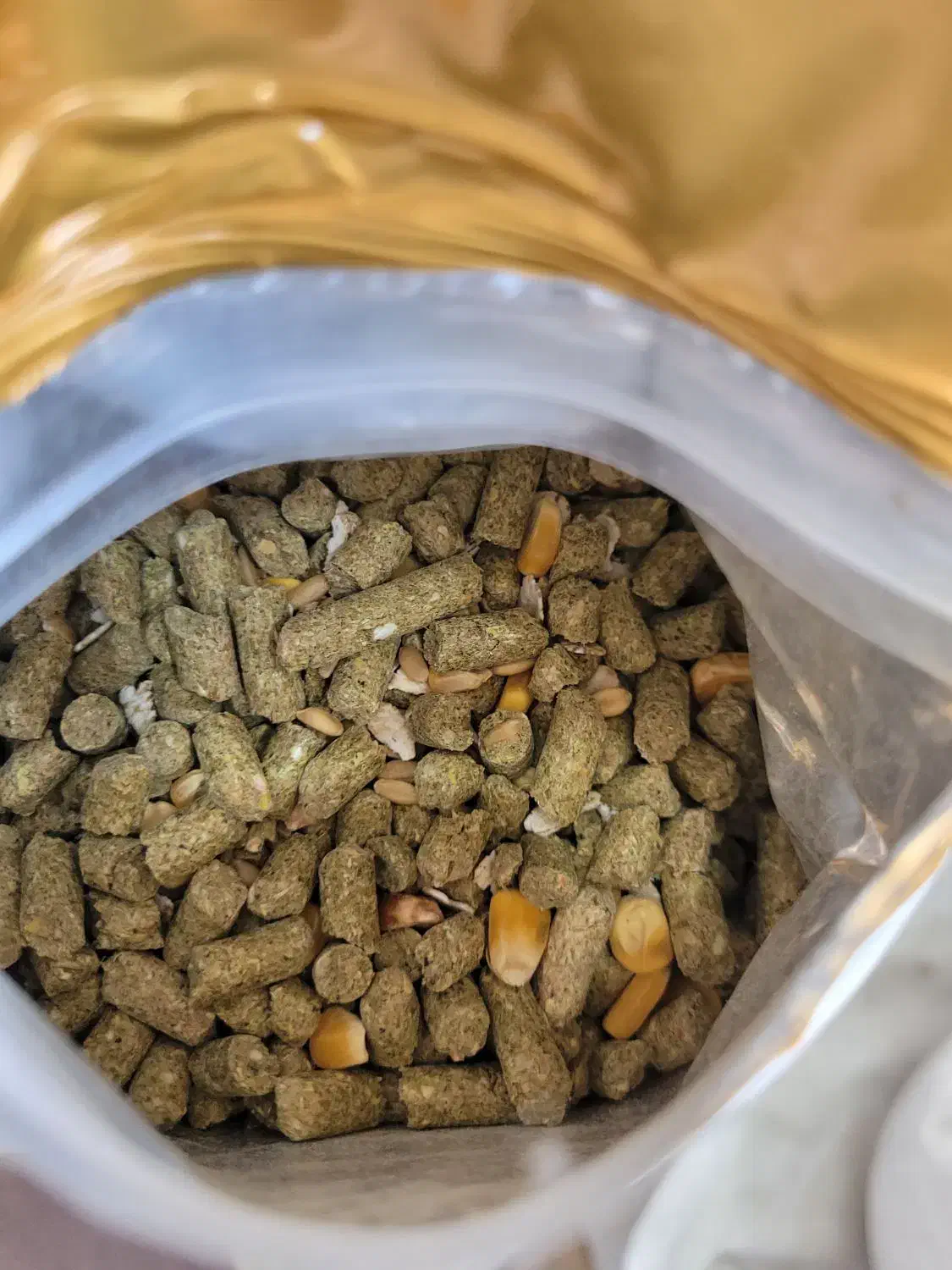 غذای خرگوش و جوندگان|موش و خرگوش|ارومیه, |دیوار