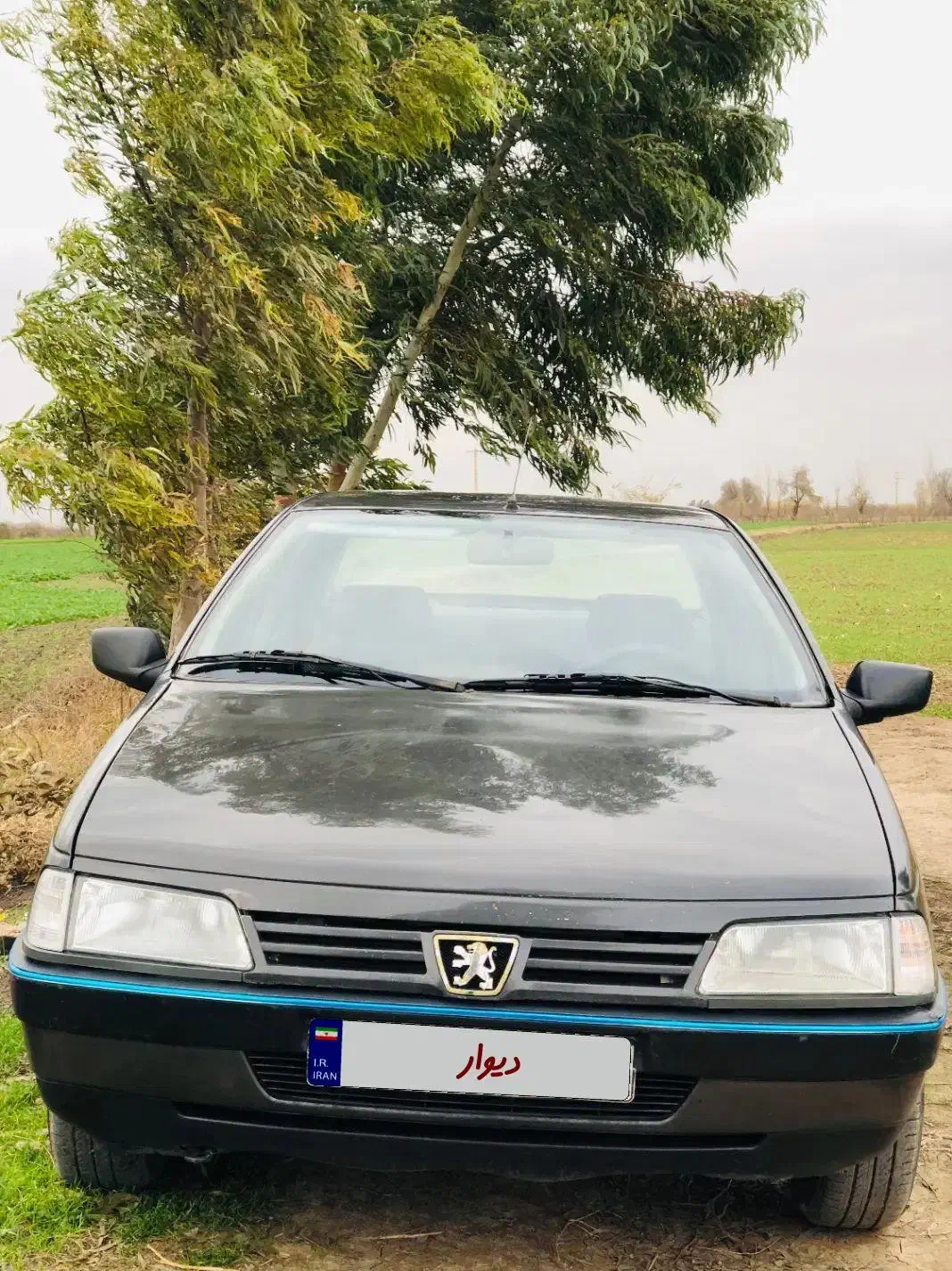 پژو ۲۰۰۰|خودرو سنگین|علی‌آباد کتول, |دیوار