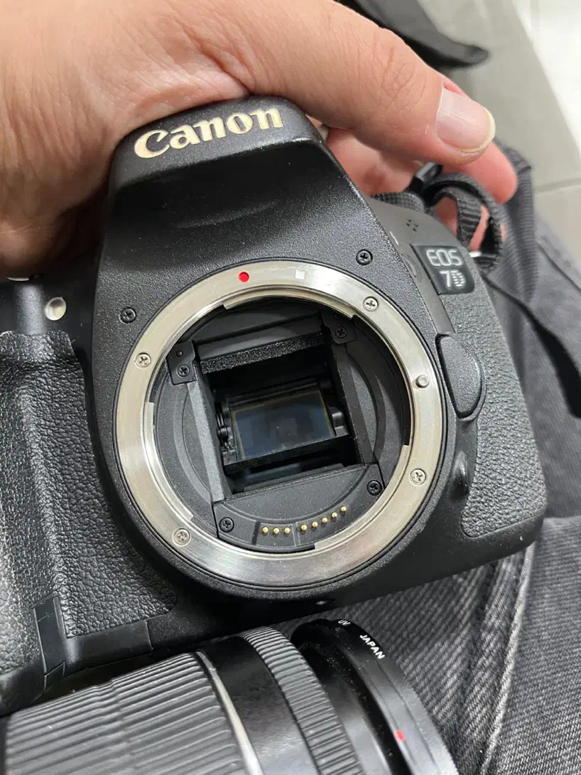 دوربین کنون ۷ دی|دوربین عکاسی و فیلمبرداری|کرج, گوهردشت|دیوار