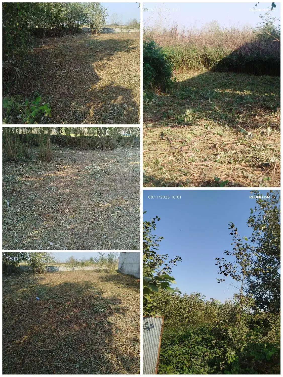 علفتراش.لیزنی.چمنزنی.علفزنی.لی زنی با دستگاه|خدمات باغبانی و درختکاری|رشت, پسیخان|دیوار