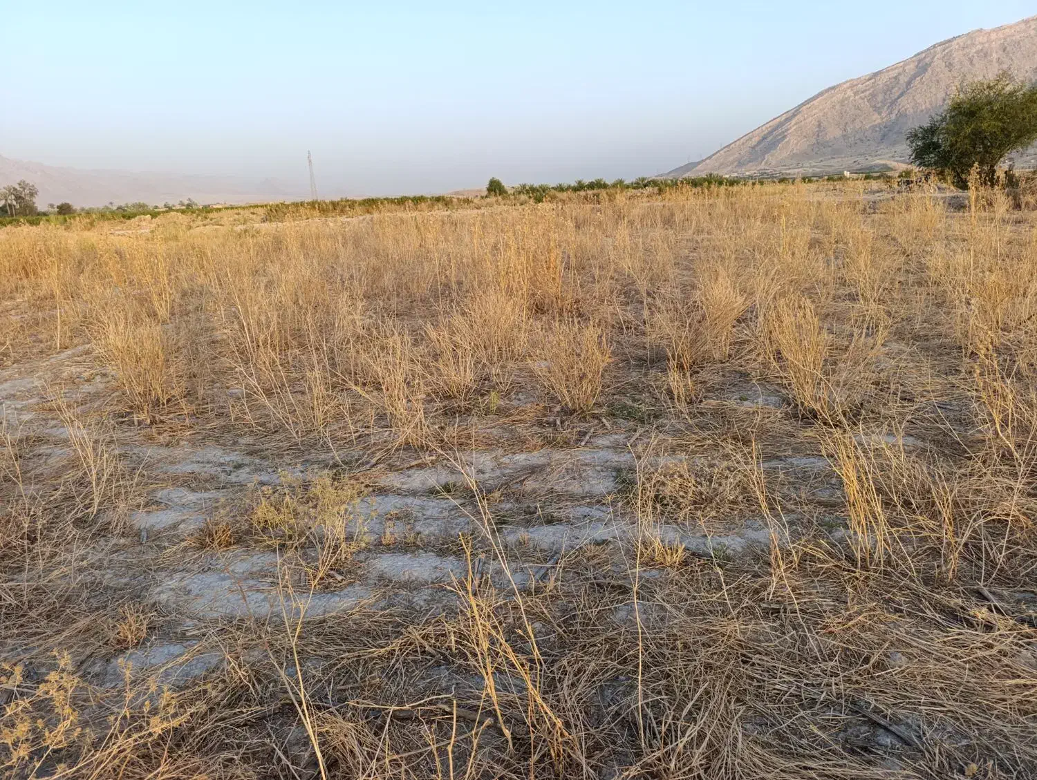 1400 متر زمین|فروش دفتر صنعتی، کشاورزی، تجاری|کازرون, |دیوار