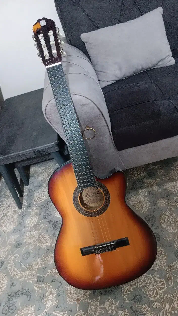 گیتار نو|گیتار، بیس، امپلیفایر|سمنان, |دیوار