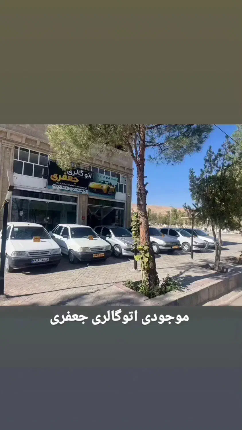 فروش ۲۰۶ تیپ ۵ مدل ۸۳ دوررنگ|خودرو سواری و وانت|زرقان, |دیوار