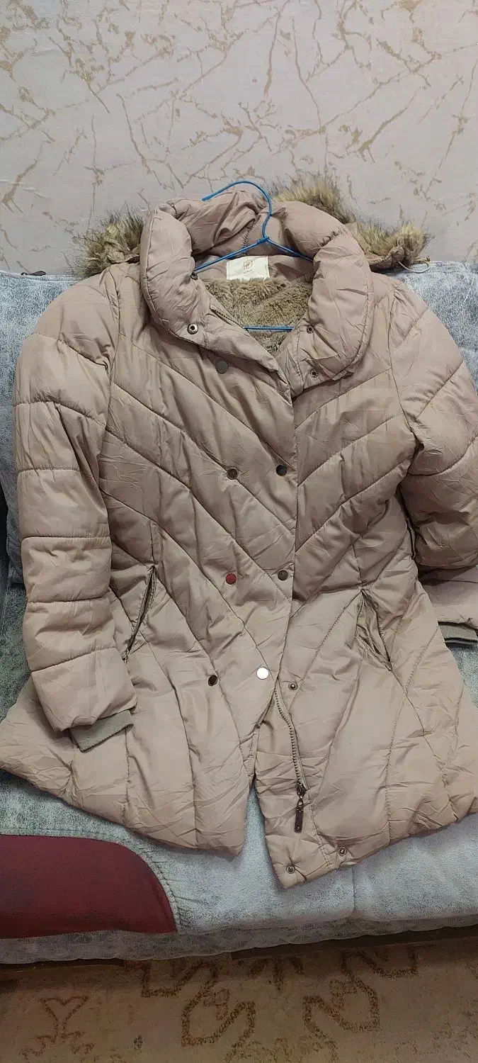 پالتو سایزلارج|لباس|تربت جام, یحیی آباد|دیوار