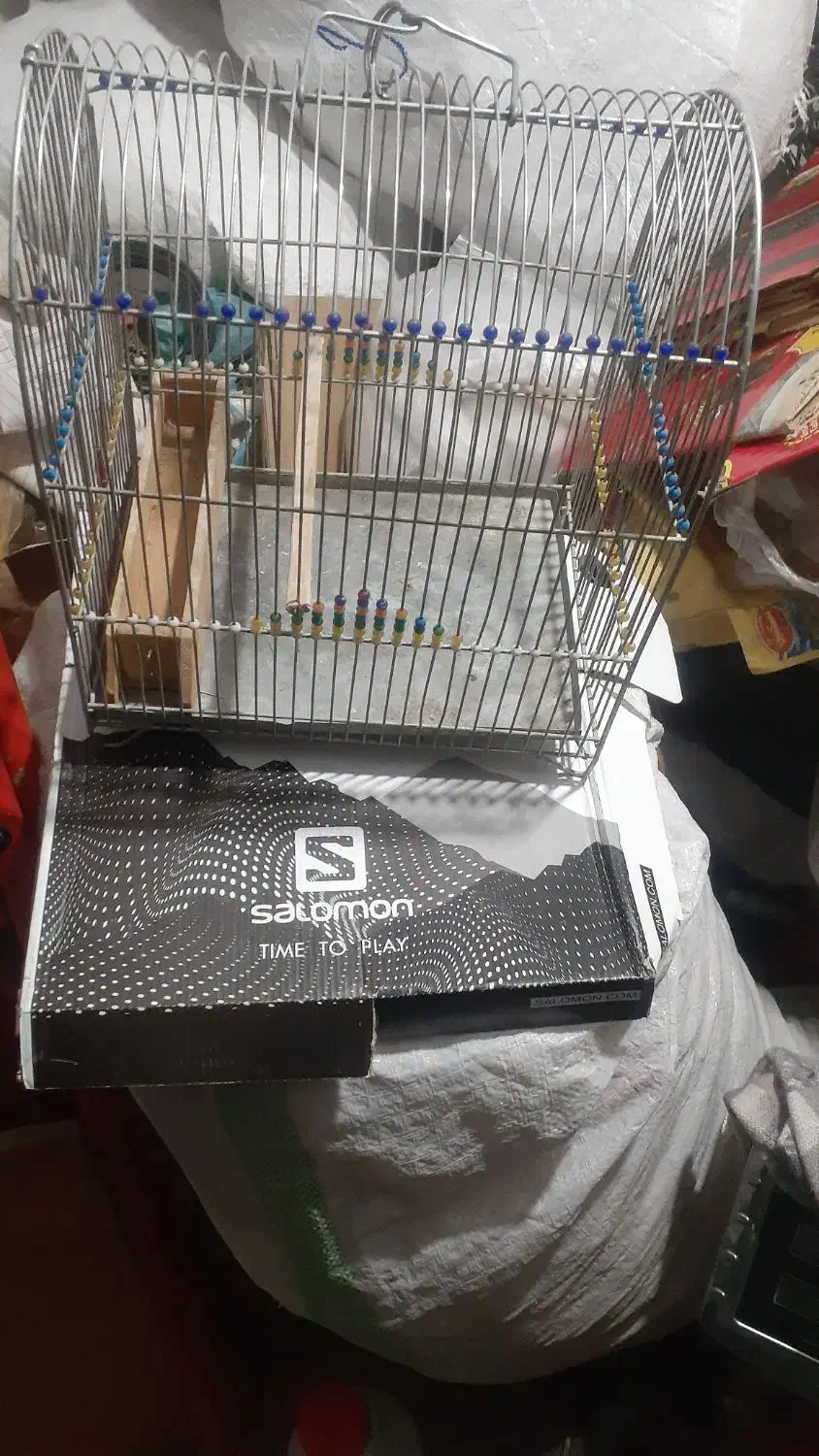 سلام|لوازم جانبی حیوانات|سنندج, |دیوار