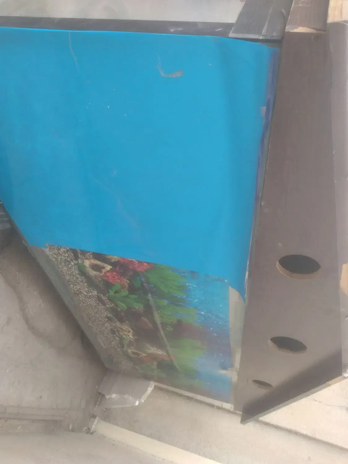 آکواریوم|ماهی|شیراز, محراب|دیوار