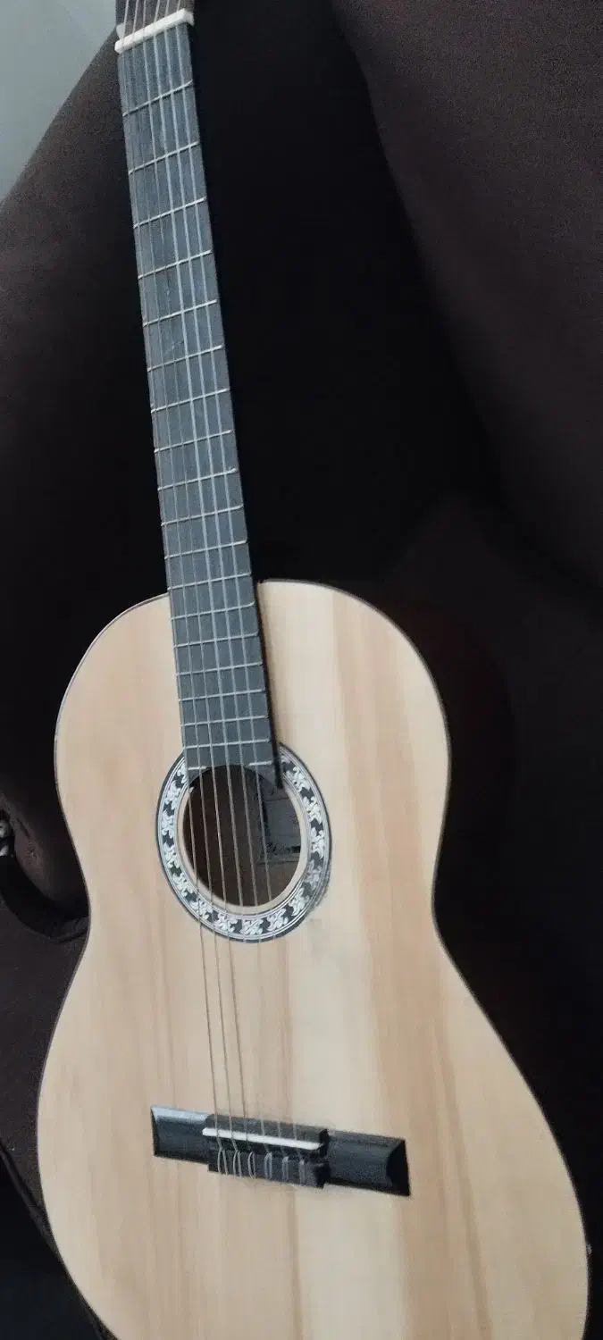 گیتار|گیتار، بیس، امپلیفایر|بیرجند, |دیوار