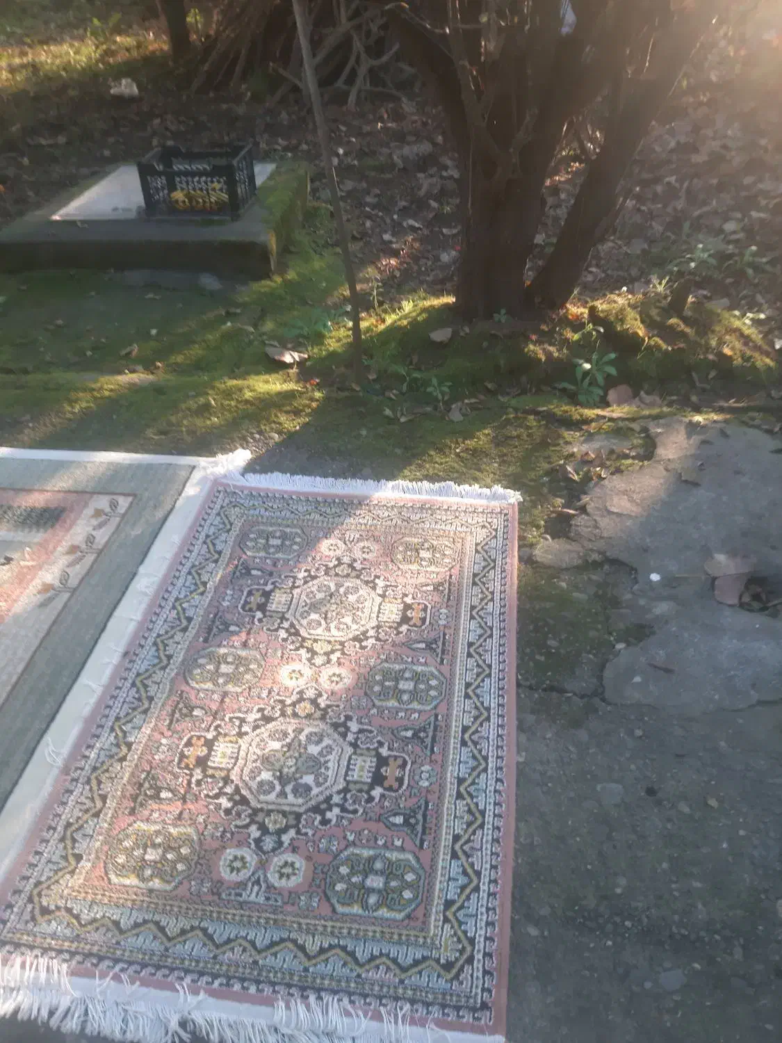 قالی ۶ متری وقالیچه ماشینی|فرش|آستانه اشرفیه, |دیوار