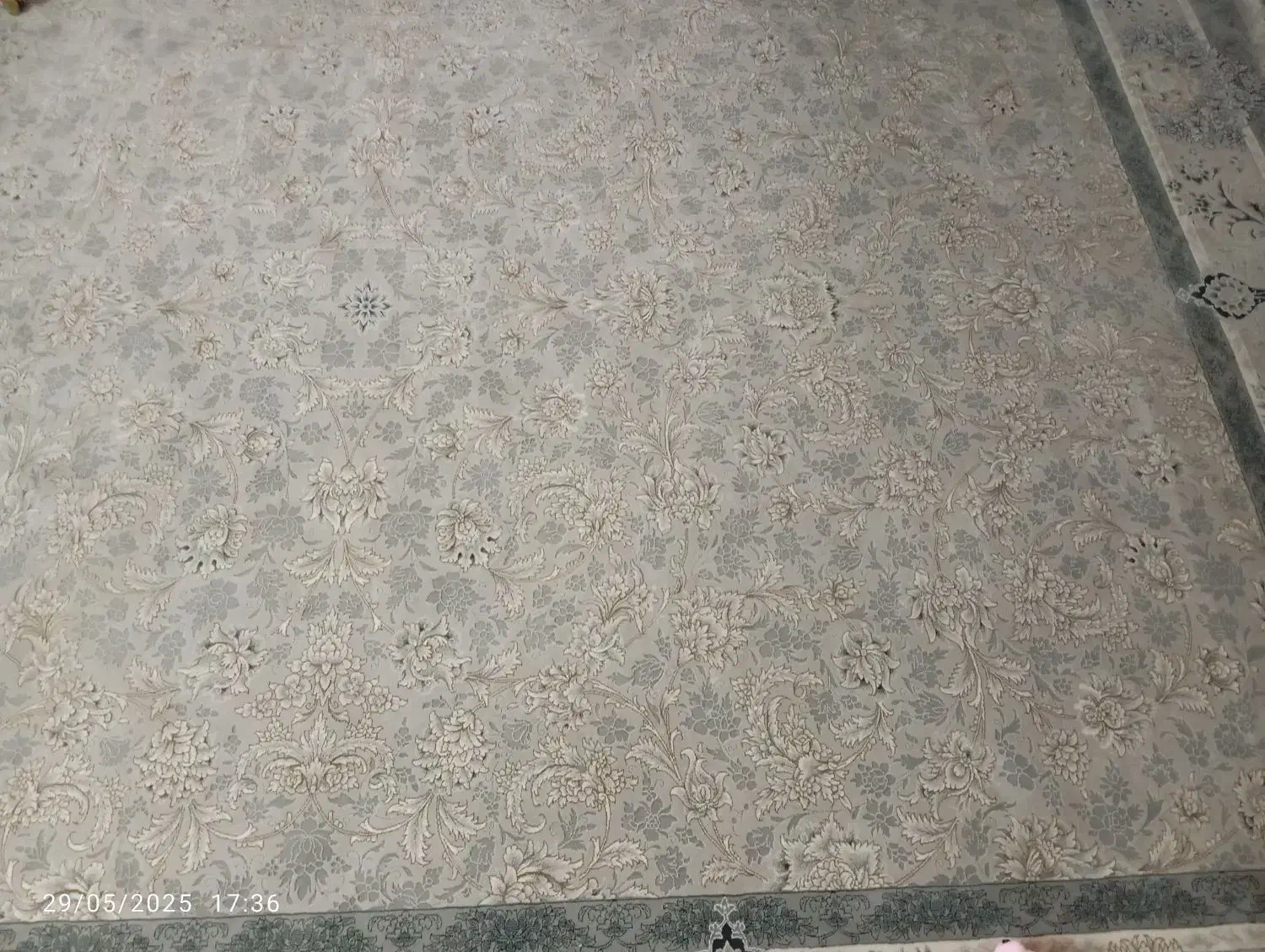 فرش نو|فرش|بیرجند, |دیوار