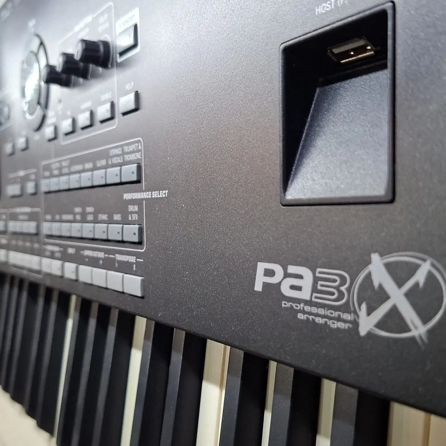 ارگ قسطی|پیانو، کیبورد، آکاردئون|سقز, |دیوار