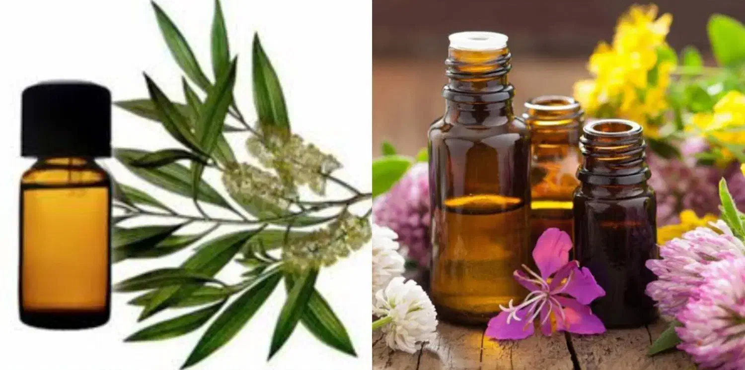 طب سنتی|خدمات آموزشی|خرم‌آباد, |دیوار