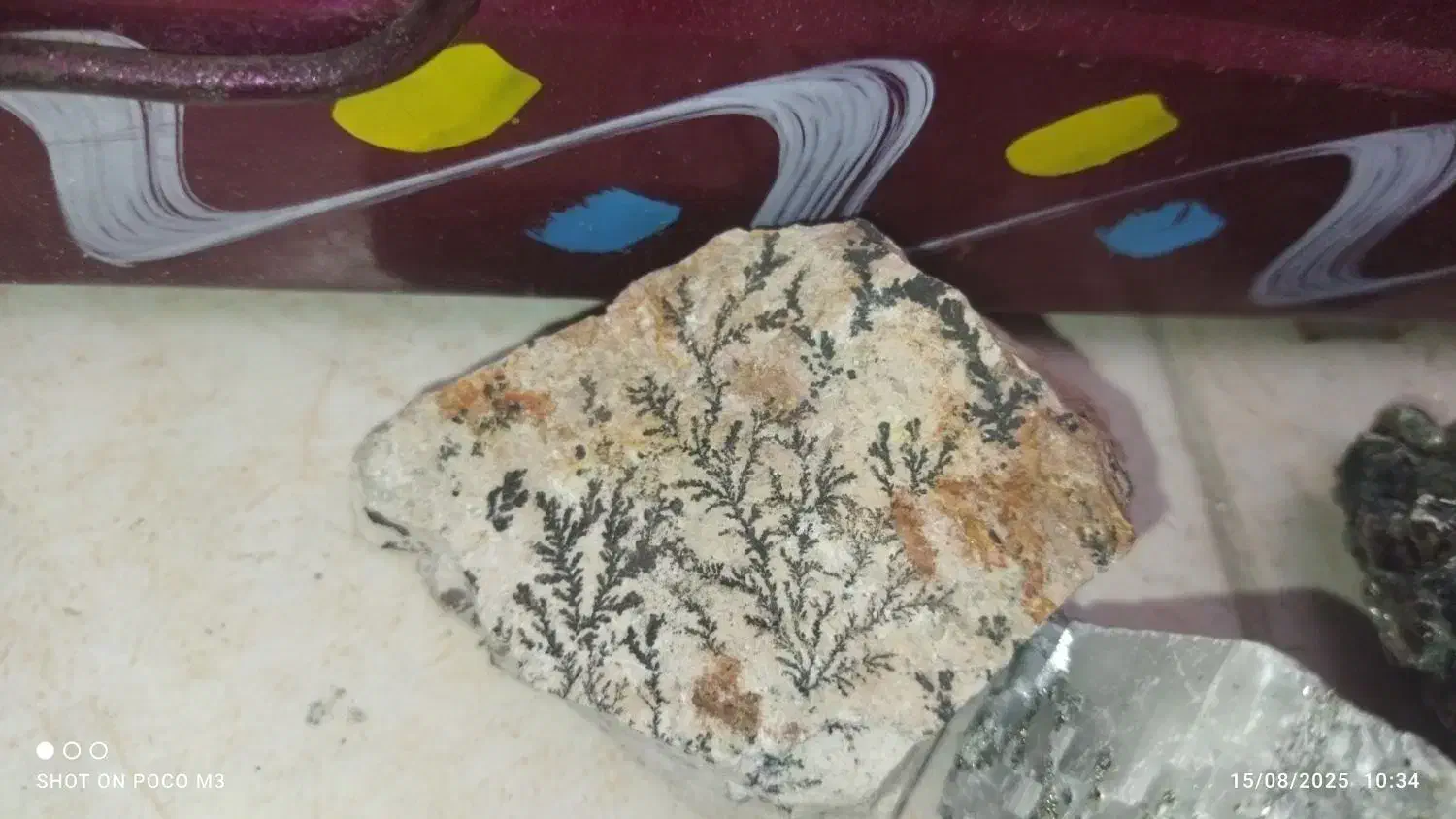 شجر|کلکسیون و سرگرمی|فسا, |دیوار