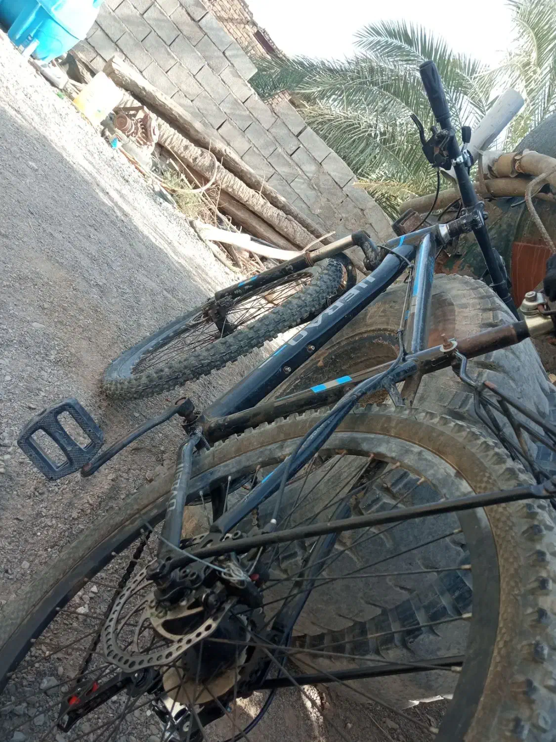 دوچرخه دنده ای|دوچرخه، اسکیت، اسکوتر|سیب و سوران, |دیوار