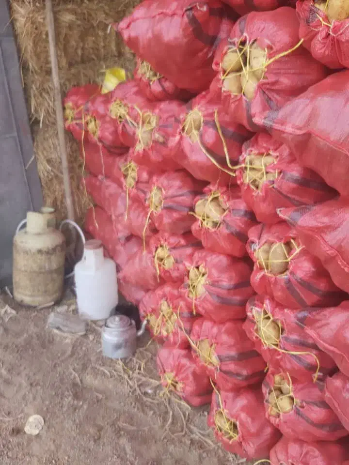 سیب زمینی|خوردنی و آشامیدنی|سلطانیه, |دیوار