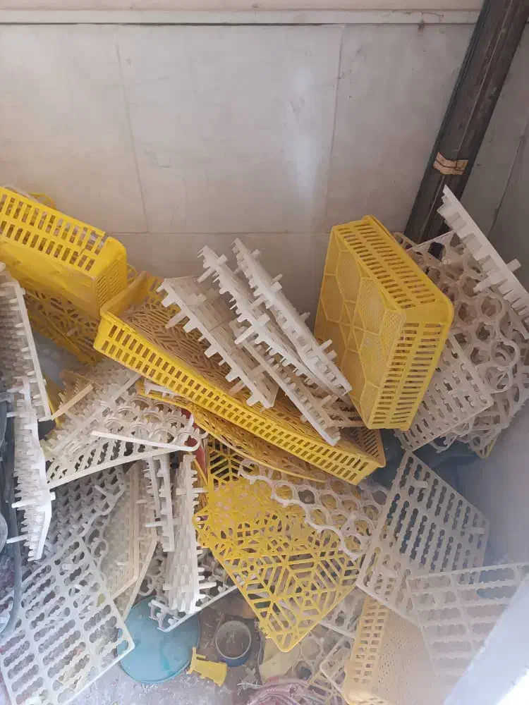 دستگاه جوجه کشی صنعتی|لوازم جانبی حیوانات|بستک, |دیوار