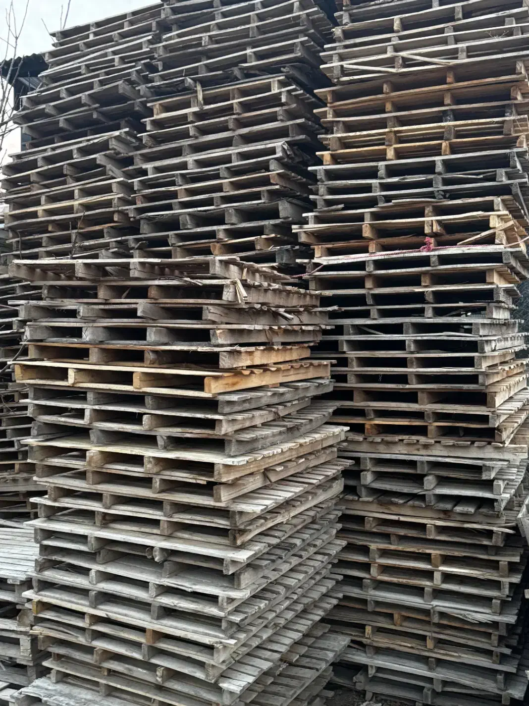 پالت چوبی زیر سرامیکی|عمده‌فروشی|طالقان, |دیوار