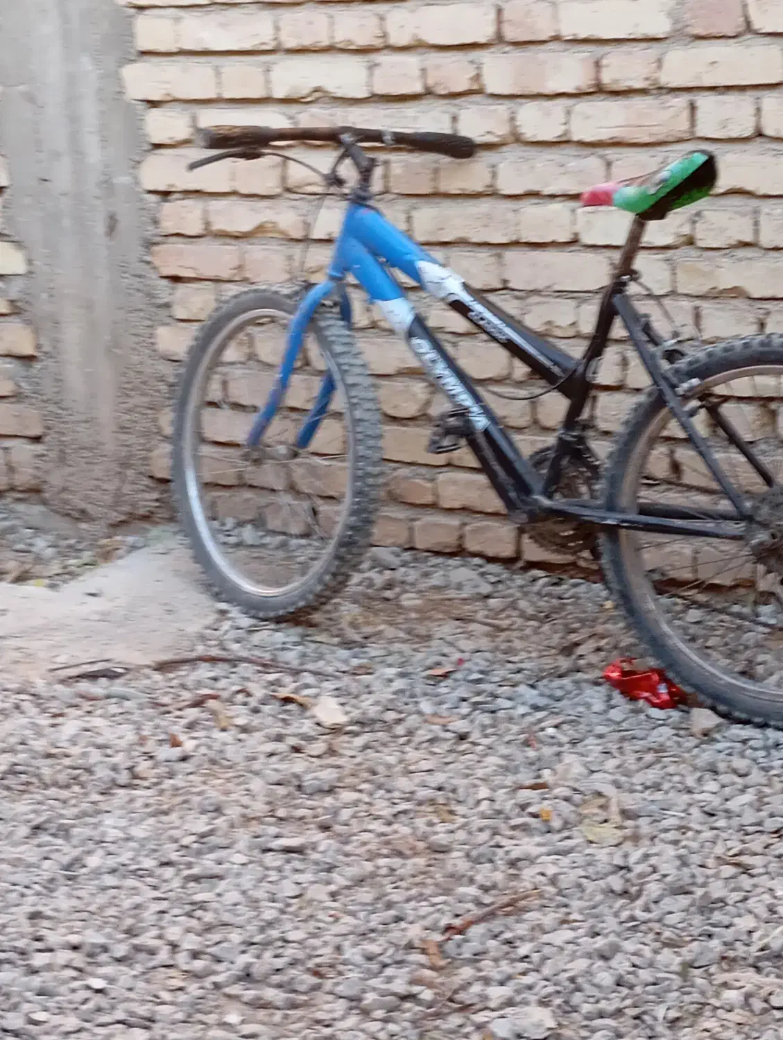 چند  تا مرغ ویک دوچرخه ویک بوقلمون|حیوانات مزرعه|فارسان, |دیوار