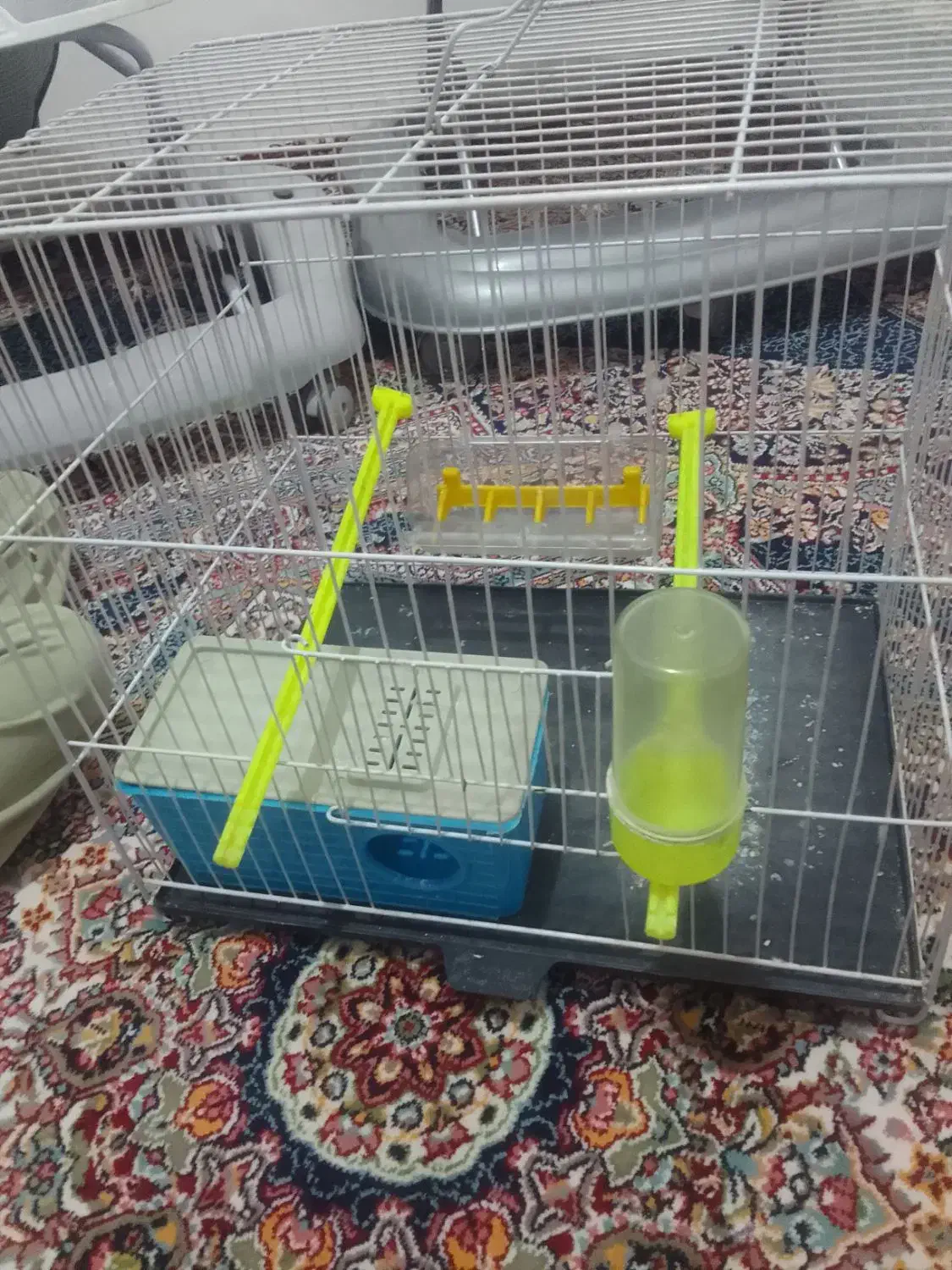 قفس|لوازم جانبی حیوانات|مشهد, محمدآباد|دیوار