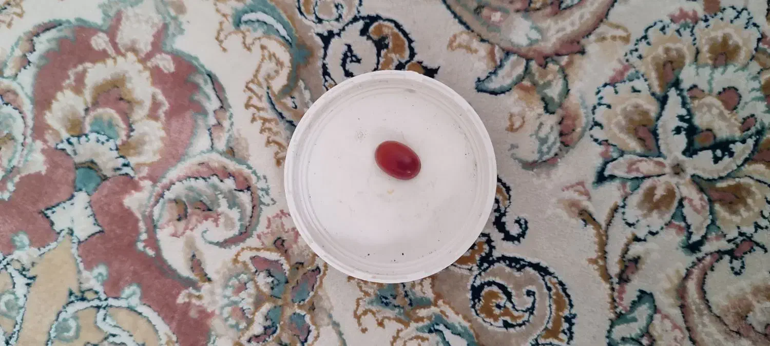 مدال فیروزه و عقیق|زیورآلات و اکسسوری|قم, صفائیه|دیوار