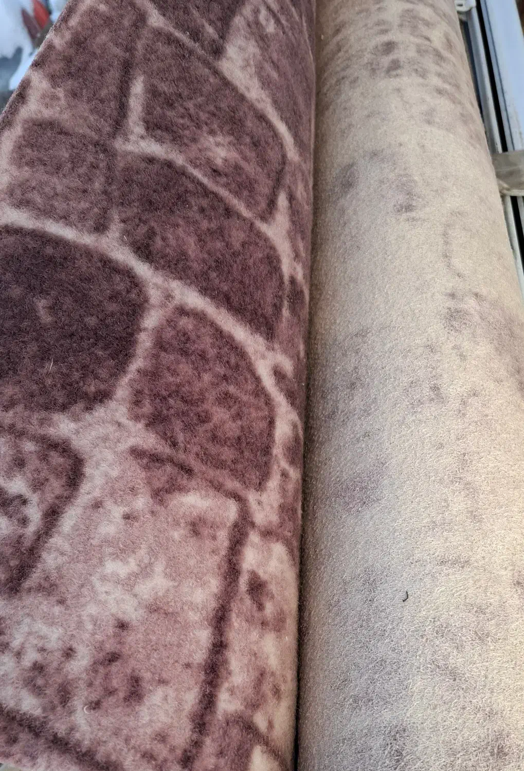 موکت سالم و نو|موکت|بجنورد, |دیوار