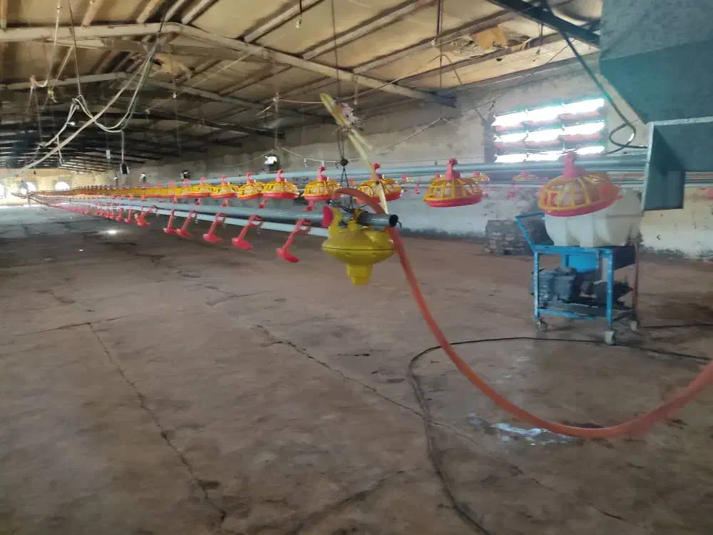 مرغداری گوشتی 24000 تایی|فروش دفتر صنعتی، کشاورزی، تجاری|تهران, سعیدآباد|دیوار