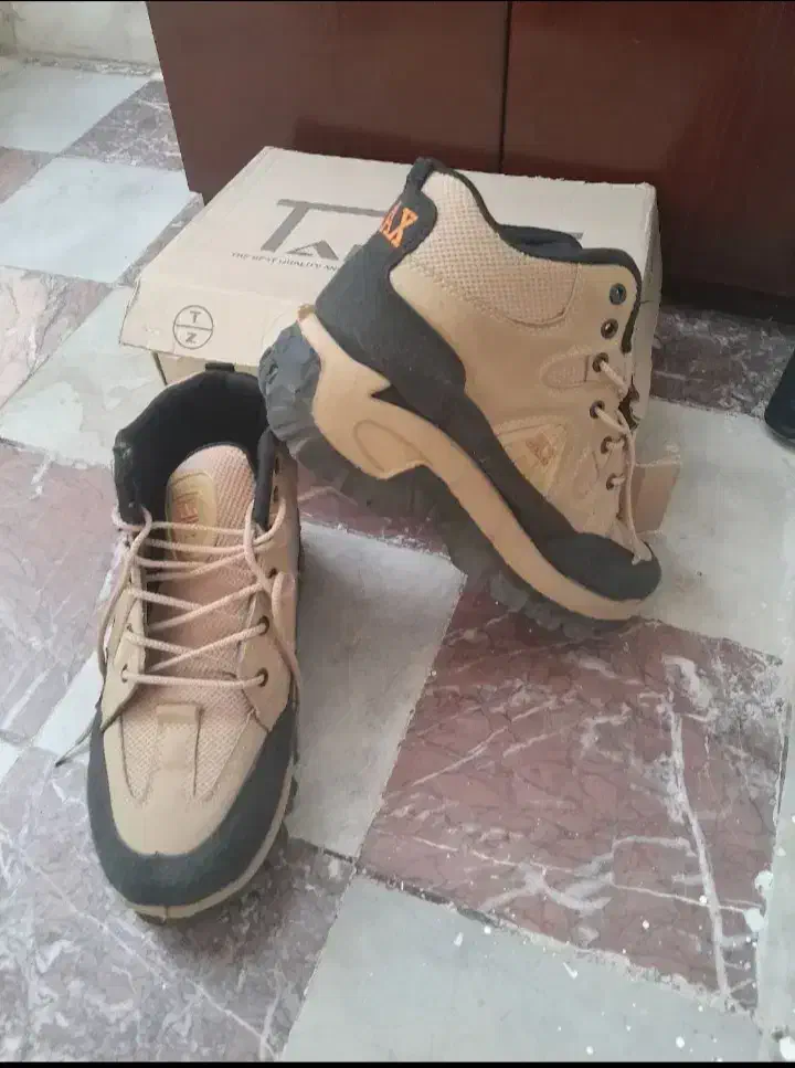 کفش|کیف، کفش، کمربند|تهران, اسفندیاری|دیوار