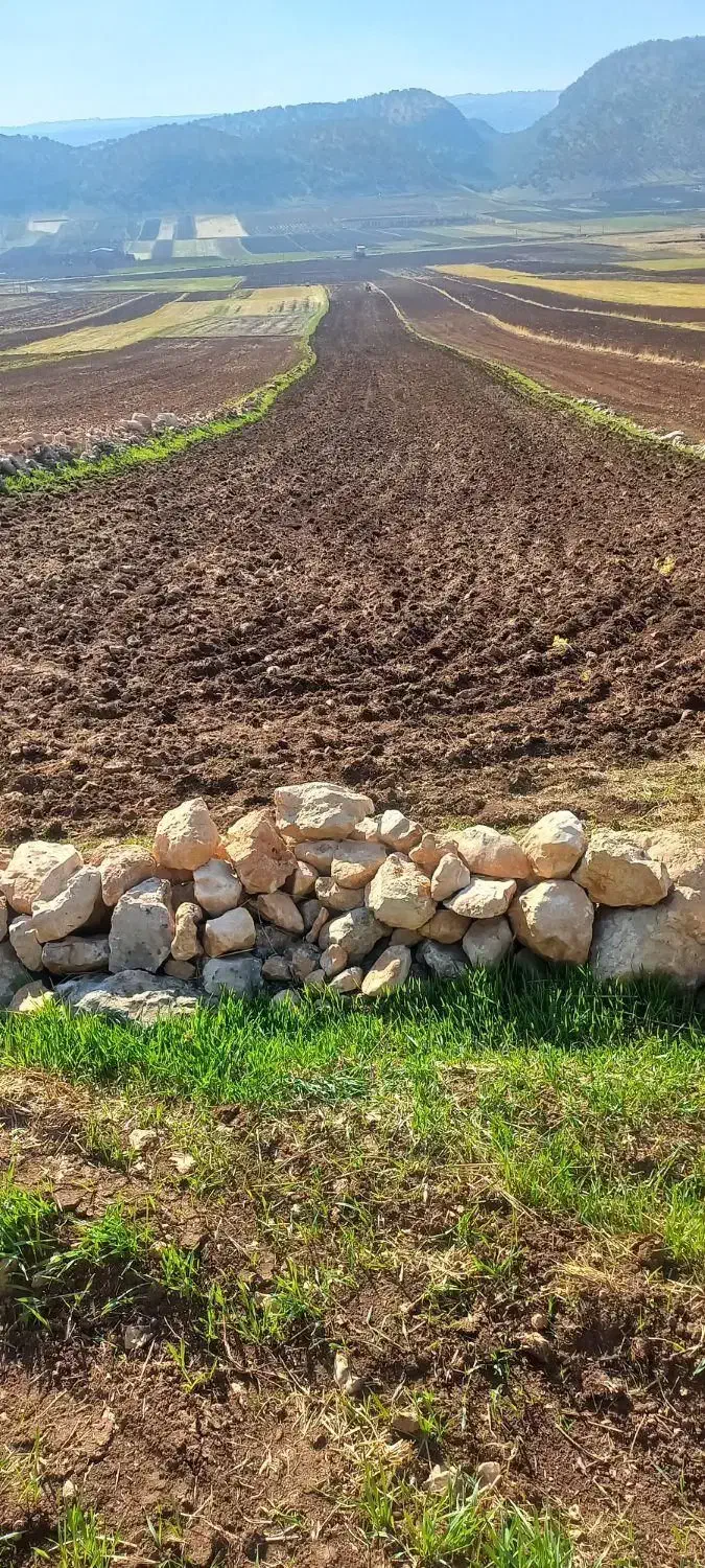 زمین کشاورزی آسمان اباد|فروش زمین و ملک کلنگی|چرداول, |دیوار